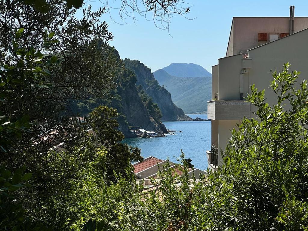 Vista Petrovac Apartment Bagian luar foto